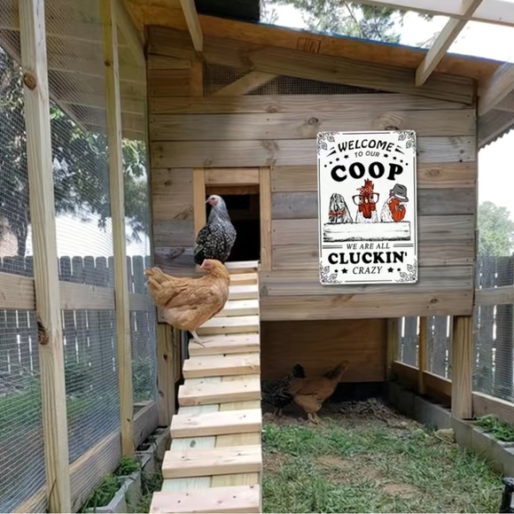 Funny Chicken Sign - Picture 6 of 7